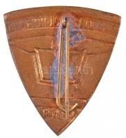 DN "Szlovák Nyelvű Gimnázium Budapest" festett fém jelvény (35mm) T:2