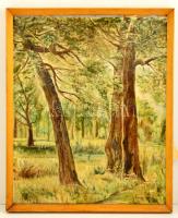 Herman jelzéssel: Erdő részlet. Olaj, karton, keretben, 71×59 cm
