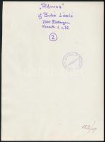 cca 1970 Bukó László: Ritmus, feliratozott, vintage fotóművészeti alkotás, a magyar fotográfia avant...