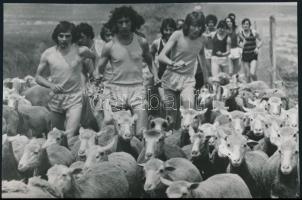 Hoppá.... szokatlan fényképek, 4 db vintage fotó, 15x24 cm és 14x21 cm között