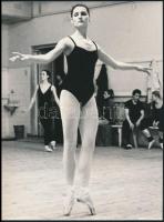 cca 1974 Balettelőadás és próba, 4 db vintage fotó, 18x24 cm vagy ahhoz közeli méretekben