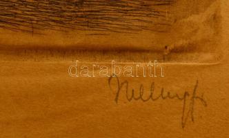 Helbing Ferenc (1870-1958): Tabán részlet. Rézkarc, papír, jelzett, 29×20 cm