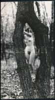 cca 1973 Erdei bújócska, jelzés nélküli vintage fotóművészeti alkotás, 24x13 cm / erotic photo, 24x13 cm