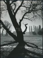 cca 1971 Gebhardt György (1910-1993) hagyatékából 3 db jelzés nélküli vintage fotó, 18x24 cm