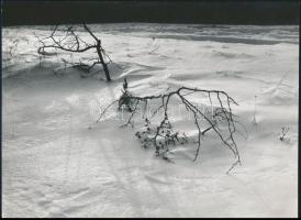 cca 1970 Gebhardt György (1910-1993) hagyatékából 2 db jelzés nélküli vintage fotó, 18x24 cm