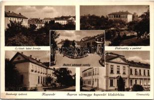 Kapuvár, Sopron vármegye közkórháza, gazdasági épületek, elmeosztály, sebészeti osztály, tüdőosztály