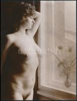 cca 1979 Menesdorfer Lajos (1941-2005) hagyatékából 2 db jelzés nélküli vintage fotóművészeti alkotá...