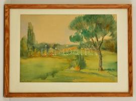 Nagy Ernő (1926-): Lankás táj. Akvarell, papír, jelzett, üvegezett keretben, 28×41 cm