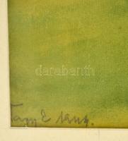 Nagy Ernő (1926-): Lankás táj. Akvarell, papír, jelzett, üvegezett keretben, 28×41 cm