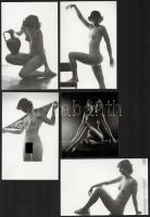 cca 1970 Zsákban, fátyolban, bugyiban, de többnyire anélkül készült modellfotók, 13 db vintage fényk...