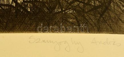 Szunyoghy András (1946- ): Balaton, rézkarc, papír, jelzett, 29×39,5 cm