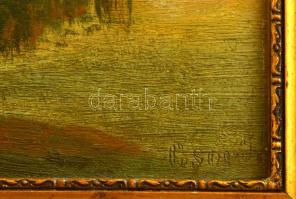 Olvashatatlan jelzéssel: Karcsa-tó, Pácin, olaj, fa, keretben, 23×28,5 cm