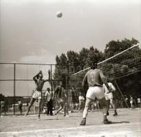 cca 1960 Sinka Antal hagyatékából 13 db vintage negatív (6x6 cm), hozzáadva 3 db modern képeslapot a...