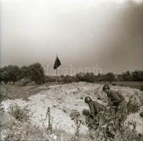 cca 1960 Sinka Antal hagyatékából 13 db vintage negatív (6x6 cm), hozzáadva 3 db modern képeslapot a...