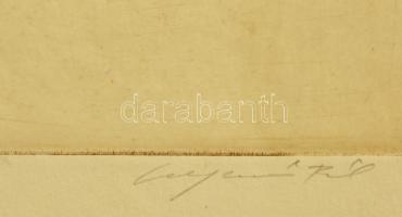 Csergezán Pál (1924-1996): Kis nyulak. Rézkarc, papír, jelzett, 19×29 cm