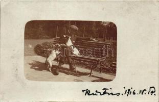 1916 Kürtös, Curtici; padon ülő úr kutyákkal / man sitting on a bench with dogs. photo  (EK)