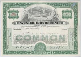 Amerikai Egyesült Államok 1960-1978. 10db-os részvény tétel, benne "PPG Industries, Inc.",...