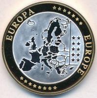 ~2002. "Emlékérem az euróövezet országainak közös valutájáról - Németország" aranyozott, e...