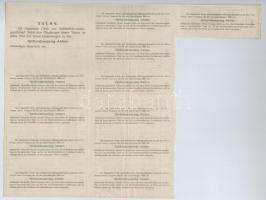 Budapest 1918. "Magyar Erdő- és Faüzem Részvénytársaság" huszonöt részvénye egyben 200K-ró...