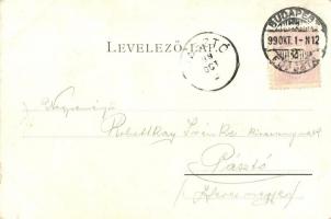 1899 Budapest V. Ferenc József rakpart, Királyi várpalota. Schmidt Edgar kiadása (kis szakadás / sma...