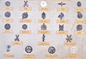 Lengyelország ~1960-1970. Sapkajelvények két bemutató lapon, nagyalakú bordó, csatos tartóban. A szá...