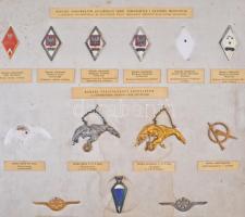 Lengyelország ~1960-1970. Sapkajelvények két bemutató lapon, nagyalakú bordó, csatos tartóban. A szá...