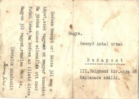 2 db rajzolt második világháborús tábori posta képeslap, Erdély / 2 WWII graphic field posts, Transy...