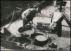 ca 1979 Balatoni halászok, 3db vintage fotó, 17x23,5 cm