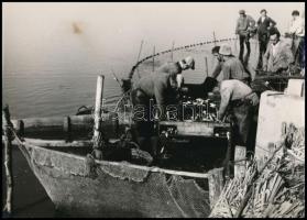 ca 1979 Balatoni halászok, 3db vintage fotó, 17x23,5 cm