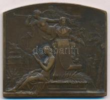 Franciaország 1895. "A Keleti Nyelvek Iskolájának 100 éves évfordulójára" kétoldalas Br pl...