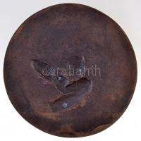 DN "Szatír" mitológiai jelenetet ábrázoló, egyoldalas Br plakett (109mm) T:2