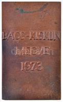 1973. "Petőfi / Bács-Kiskun Megye 1973" öntött Br plakett (74x123mm) T:2,-2 patina