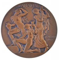 Reményi József (1887-1977) 1927. "Danaidák / Vénusz születése" Br emlékérem, peremen &quot...