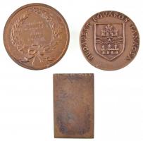 Solymári Valkó László (1909-1984) 1963. "Verdi" Br plakett  (79x50mm) + 1955. "Színhá...