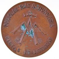 DN "Kalazanci Szent József / Scholae Piae in Hungaria - Pietas et Litterae" Br emlékérem (...