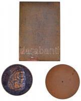 Csillag István (1881-1968) 1910. "Dr. Laky Mátyás a Temesvári M.K. Áll. Főreáliskola igazgatója...