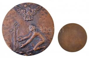 1973. "Hortobágyi Intéző Bizottság 1963-1973" kétoldalas Br plakett (107,5mm) + DN "B...