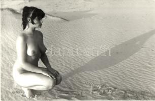Erotic nude lady on the beach, modern photo