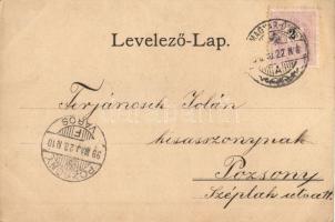 1899 Magyaróvár, Mosonmagyaróvár; Bástya, M. kir. Gazdasági Akadémia, Főhercegi gőzmalom, Templom té...
