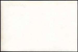 cca 1960-1970 Imperiál, lovasával, Németh Ferenccel, hátulján feliratozva, 12×18,5 cm