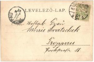 1903 Budapest XIV. Városliget, Sió tündér regéje szoborcsoport és szökőkút, úriember. photo