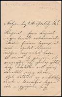 1893 Rimaszombat, Andrássy Gizella (?-?) levele roffi Borbély László (1805-1895) részére