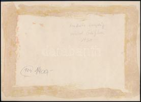 1937 Erdély, irredenta ünnepség, fotó, hátulján feliratozva, 16,5×23 cm