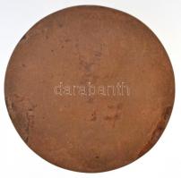 Pátzay Pál (1896-1979) DN "Böbe" Br emlékplakett (76mm) T:2
