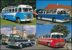 2006-2008 Ikarus buszokat ábrázoló képeslapok, 4 db, Ikarus 55, Ikarus 630 és Ikarus 66, Ikarus 311, 10x15 cm.