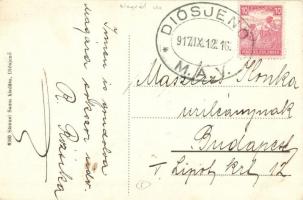 Diósjenő, Izraelita szünidei gyermektelep, utcakép + "1917 Diósjenő M.Á.V." pecsét