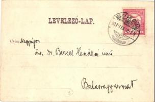 Magyaróvár, Mosonmagyaróvár; Vendéglő a Fekete Sashoz / Gasthof zum schwarzen Adler (r)