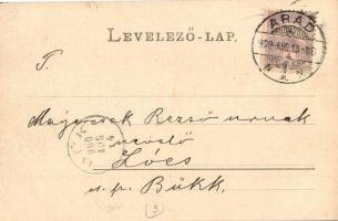 1900 Arad, Tököly tér, piac, Hoffmann József, Lőwy Ármin, Schwarz R. üzlete / market square, shops