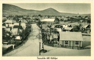 Taracköz, Teresva; téli látkép / winter view (képeslapfüzetből / from postcard booklet)