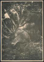 1932 Elejtett gemenci szarvasbika, vadász fotó, 17x12 cm.